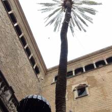 Barcelona - 2013