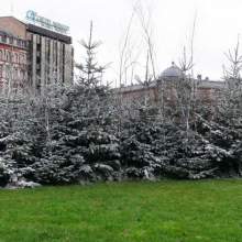 Франция, Strasbourg, Catholic Christmas 2013